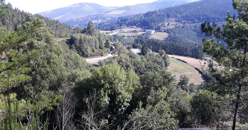 Hills and valleys between Paradavella and A Degolada, on the Camino Primitivo
